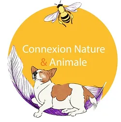 thumbnail_LOGO JESS6_edited.webp