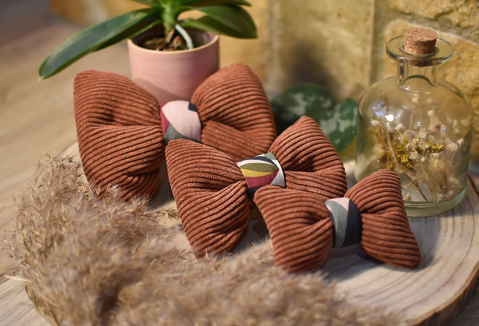 Miniature : 3 dimensions de noeuds papillons pour chiens