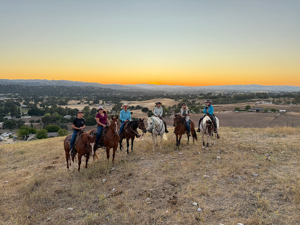 View from the top of Maverick Hill Ranch