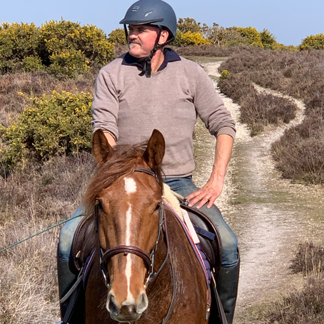 Bring your horse on holiday and discover the beautiful New Forest from horseback.