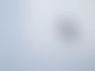 "Everything comes with time and dedication" - Leonardo Casati