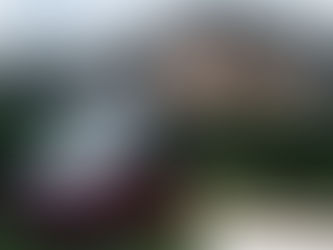 roadsurfer – Campervan mieten und der Roadtrip kann starten