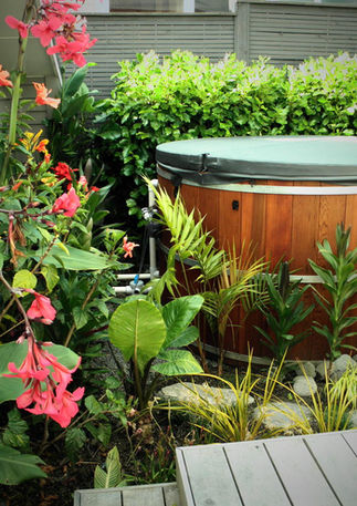 Birkenhead Pt Renovation