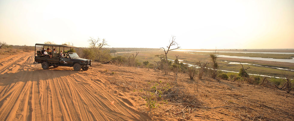 Chobe_under_canvas_gamedrive6.jpg
