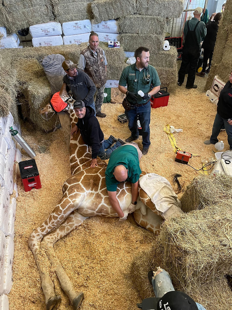 Wildscapes Veterinary (6).jpg