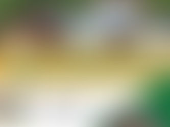 MDM Budget Participation Invitation