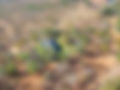 Kruger Safari Collection Chopper Flight (5).jpg