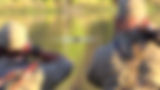 African Hunting Safaris 8.jpg