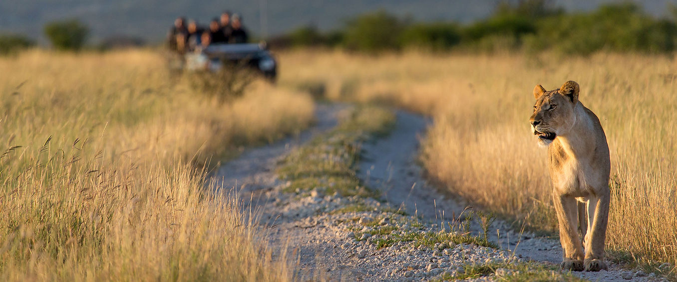 Century Safaris Experiences (12).jpg