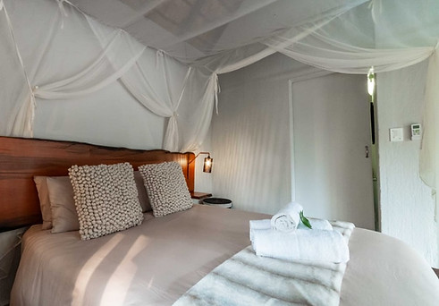 Kruger Phuti Camp room (4).jpeg