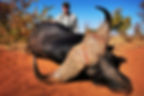 African Hunting Safaris