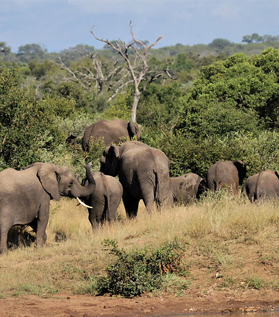 2005 Thabamati (4)1.jpg