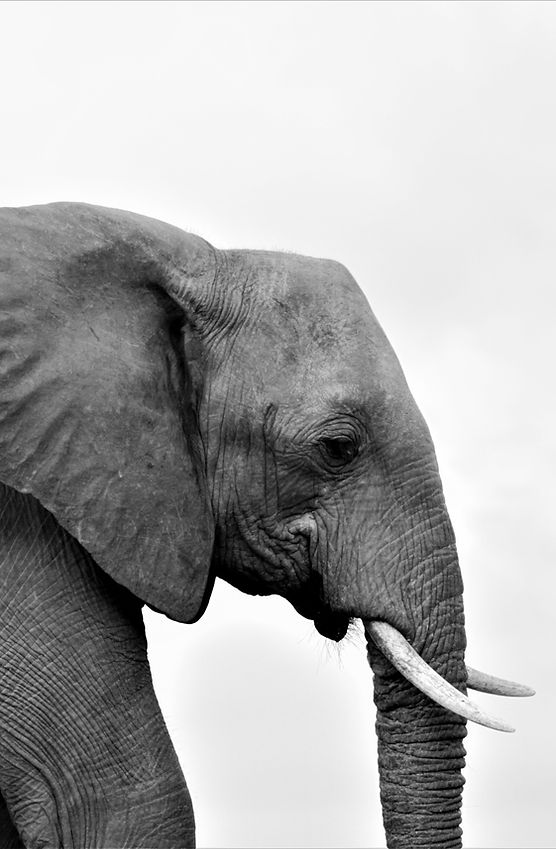 2005 Thabamati (3)2.jpg