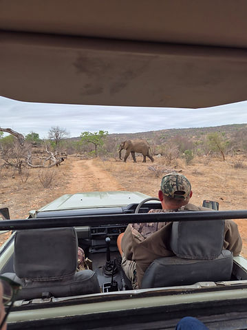 Inside Africa Tours Game Drives (4).jpg