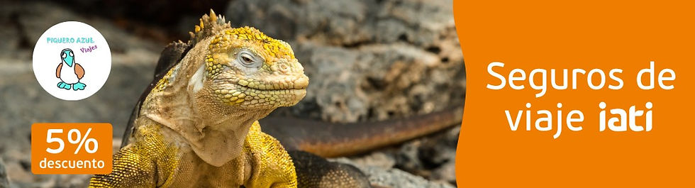 Viajes Piquero Azul 1110x300 (3).jpg