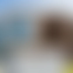 Duplexes Construction Services Building Modern Homes with Style, Comfort, and Functionality