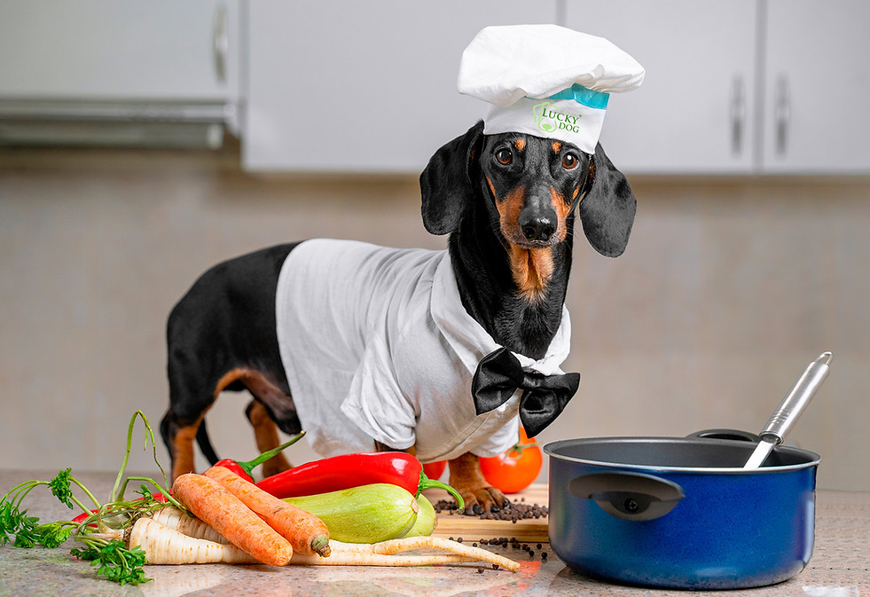 Perro cocinero1.jpg