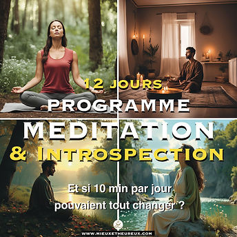 Programme Meditation 12j.jpeg