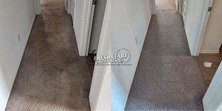 before and after of carpet