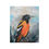 Thumbnail: Oriole Bird print