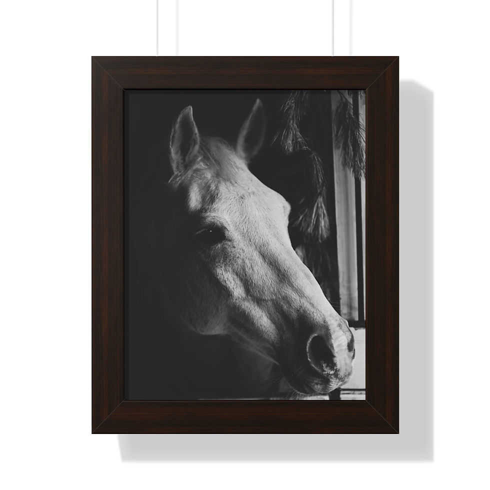 Thumbnail: Framed Equine Horse Print