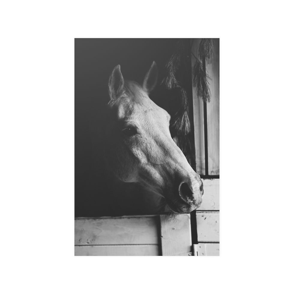 Thumbnail: Equine Horse Satin Print