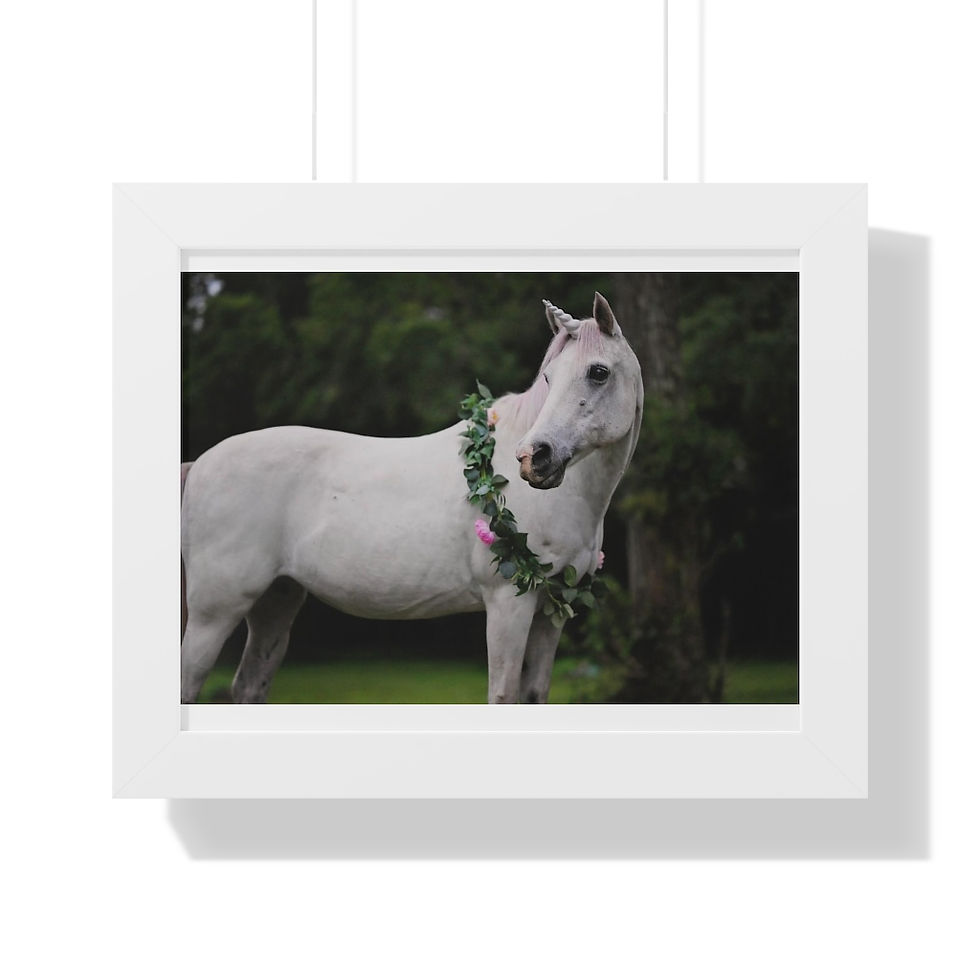 Thumbnail: Unicorn Framed Photograph