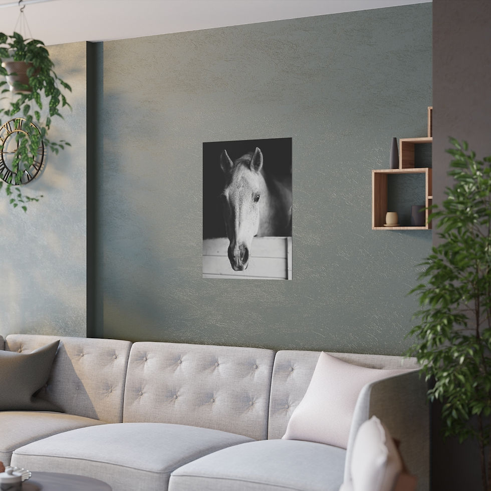 Thumbnail: Equine Horse Satin Print