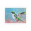 Thumbnail: Terra Hummingbird Fine Art Print