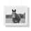Thumbnail: Framed Equine Horse Print