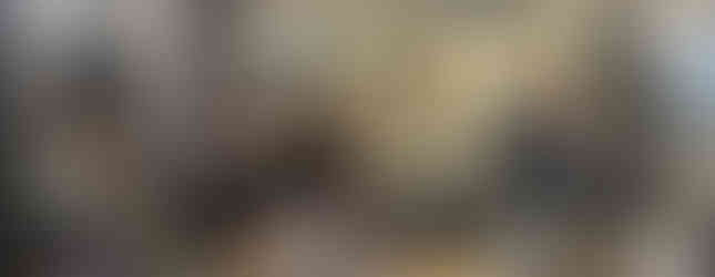 Grand Opening Event at LaVida Smithtown