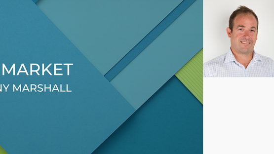 December E News 2025