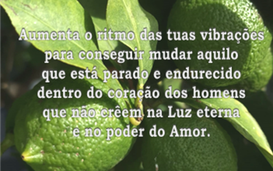 «-Aumenta o ritmo das tuas vibrações para conseguir mudar aquilo que está parado e endurecido dentro do coração dos homens que não crêem na Luz eterna e no poder do Amor.»