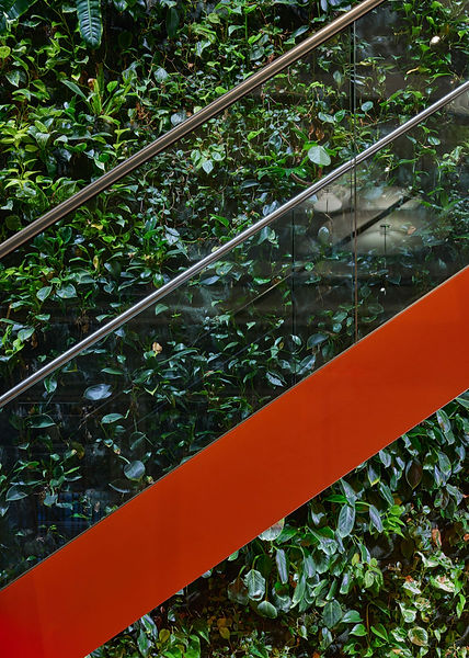 Abstrahierte Aufnahme eines Ausschnittes einer begrünten Wand. Davor  verlaufen von links unten nach rechts oben zwei verchromte Stangen und darunter eine breitere orangene Strebe.