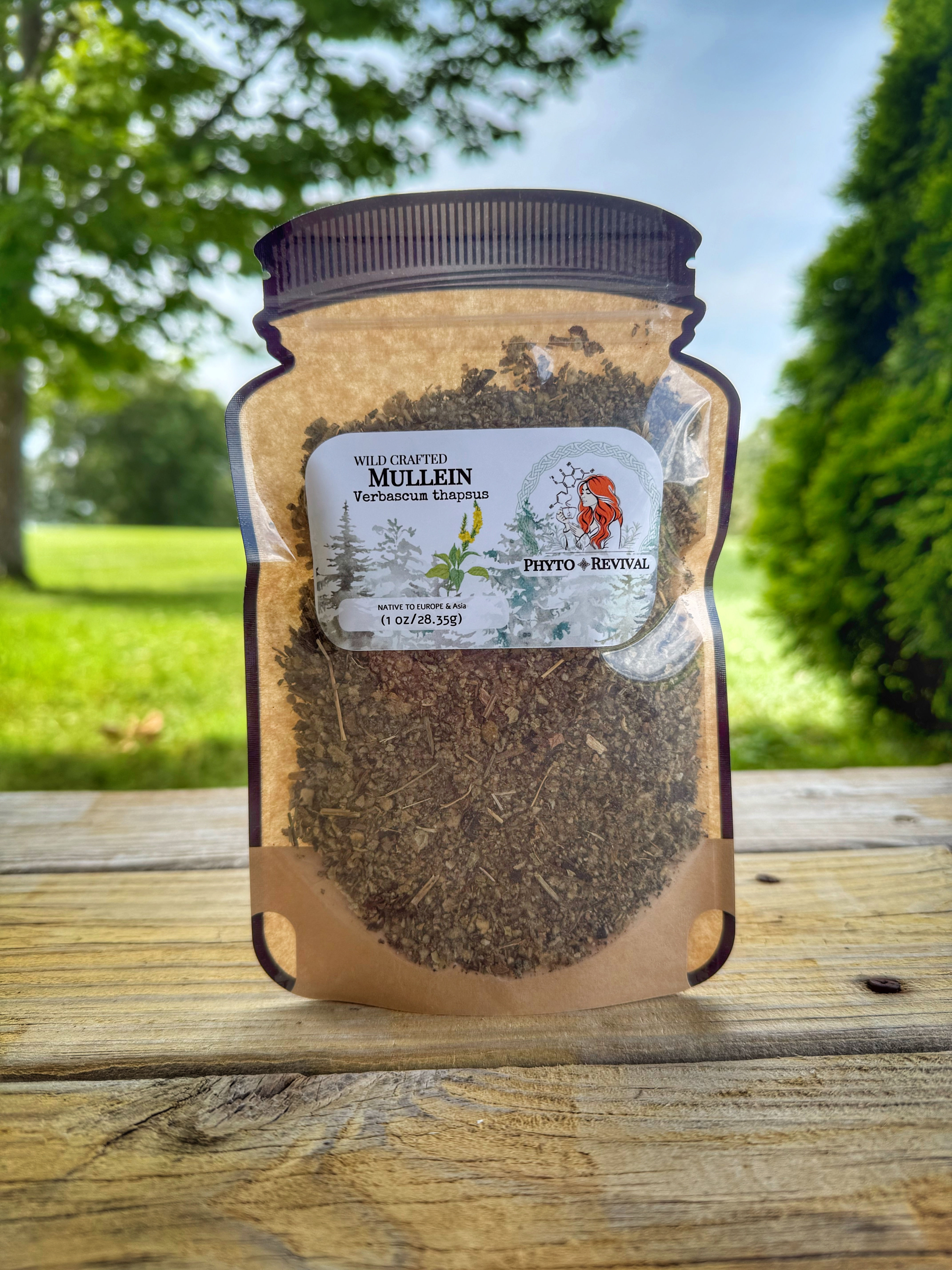 Mullein (Verbascum thapsus), Wild Crafted  - 1 oz