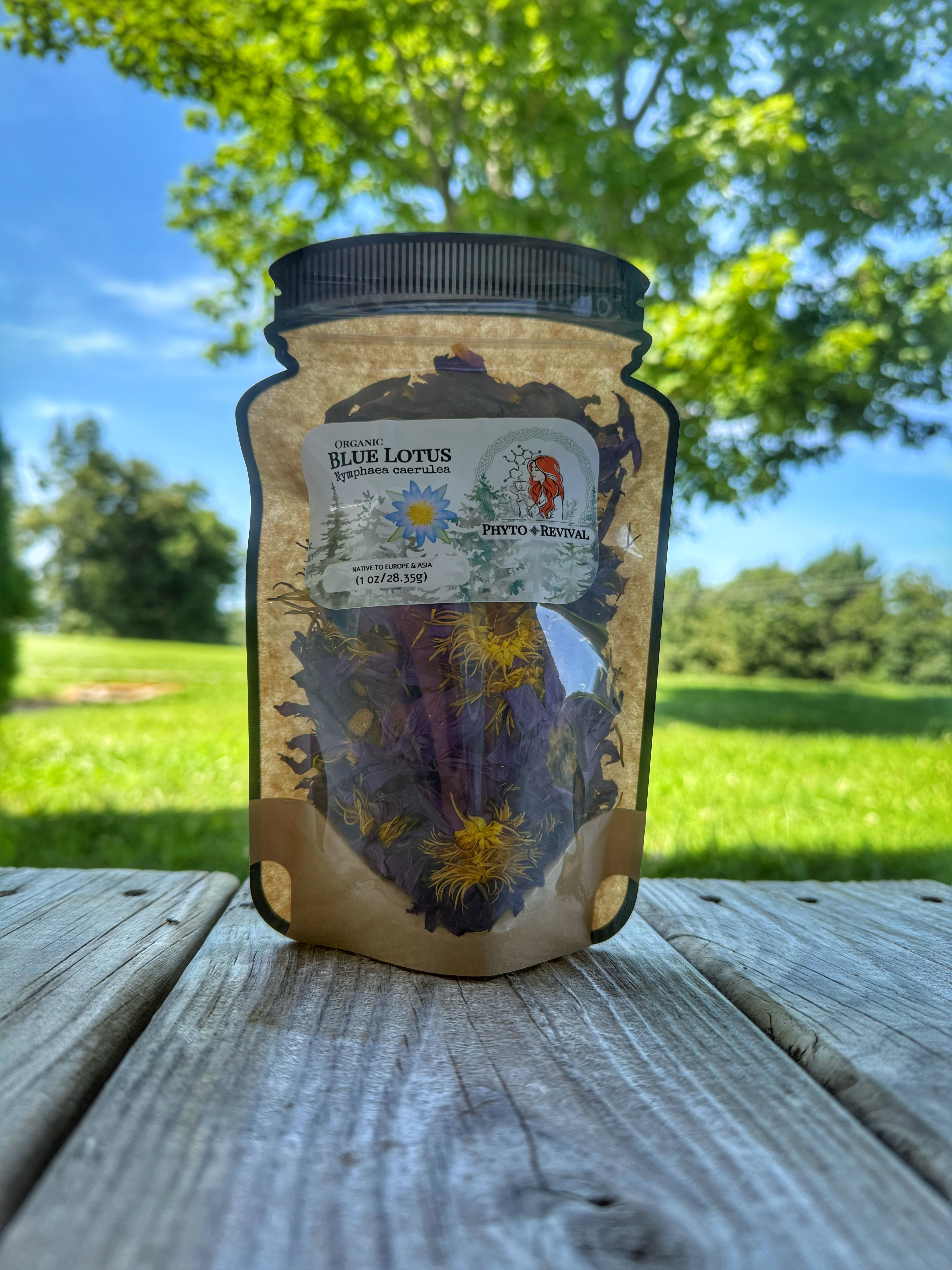 Blue Lotus (Nymphaea caerulea), Organic - 1 oz