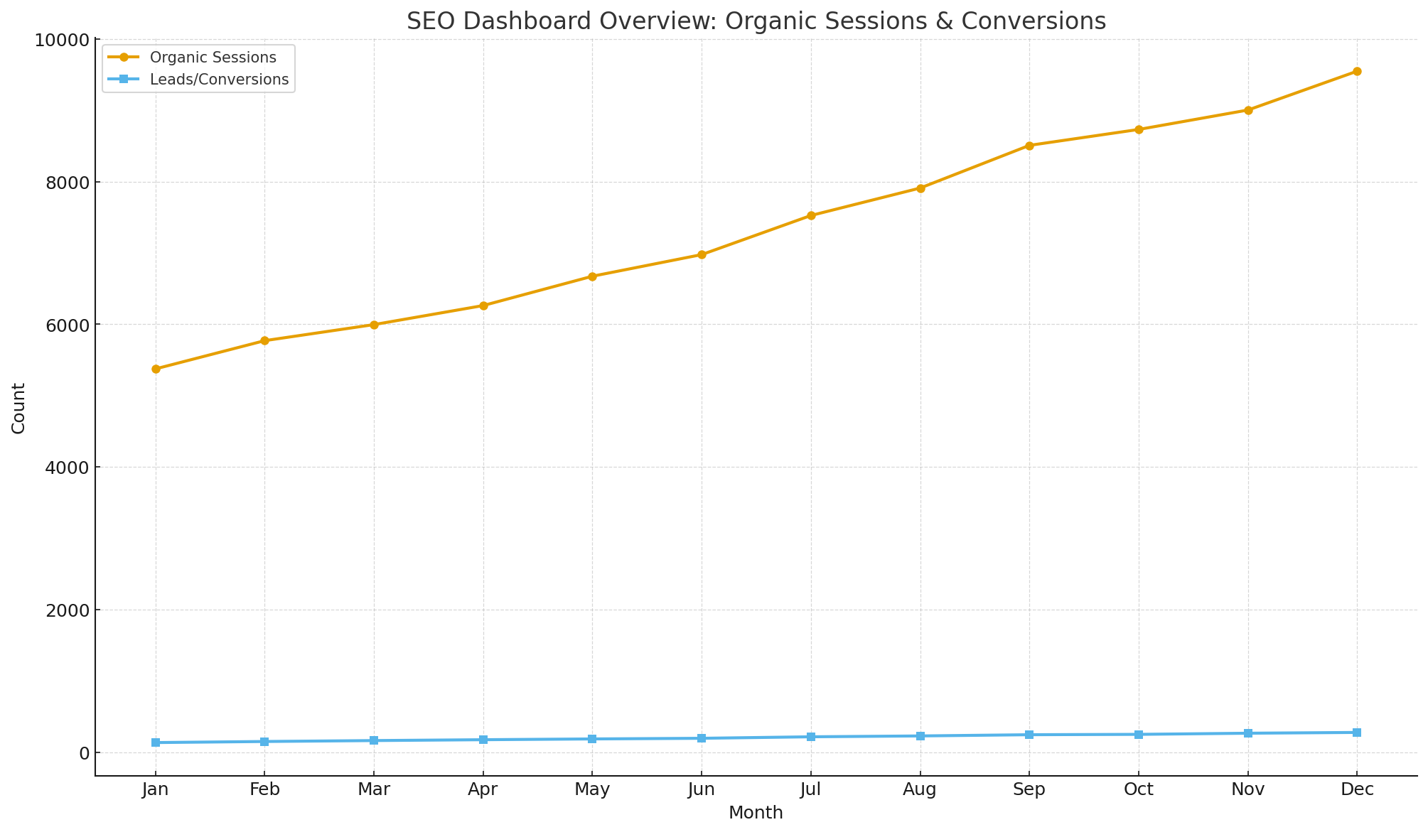 SEO dashboards for business websites