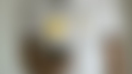 Wix testimonials section showcasing authentic customer quotes near a call-to-action