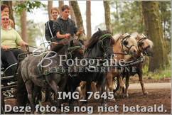IMG_7645.jpg