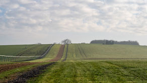 The Ravenswell Round Up - March 2026