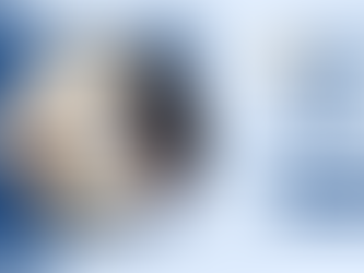 How Untreated Hearing Loss Affects Your Daily Life