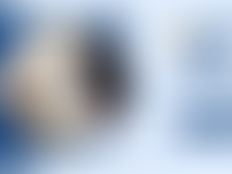 Hearing Loss Prevention: 10 Daily Habits