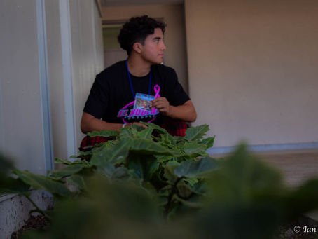 Composition in Photography