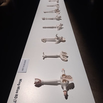 CAA mention du Jury Prize-2.jpeg