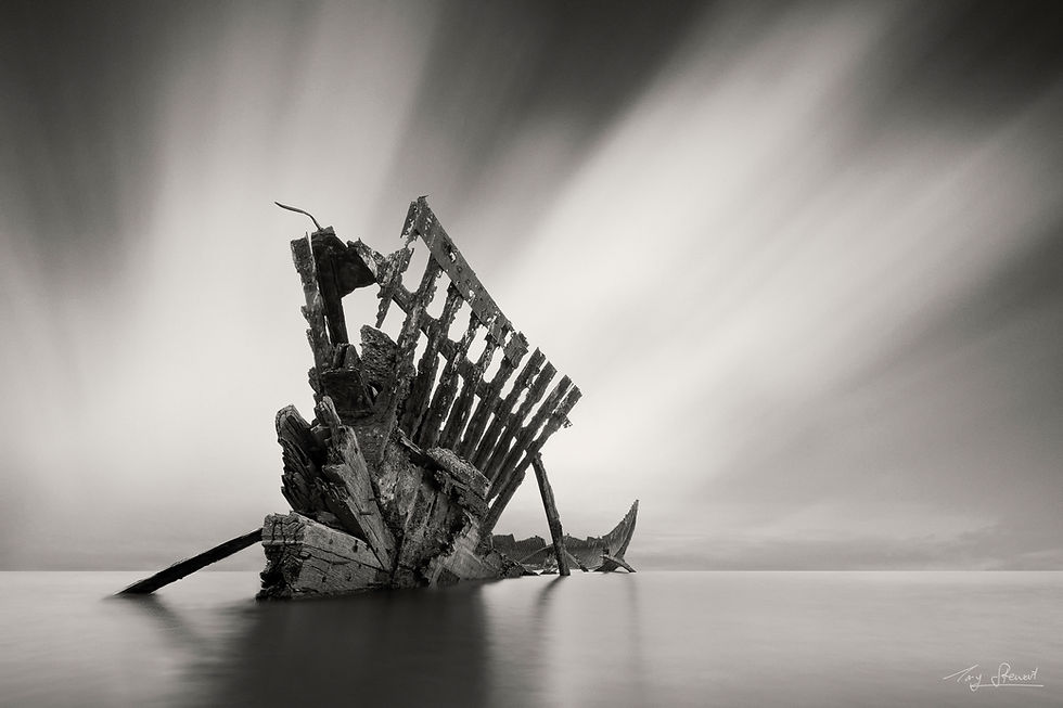 Quail Is Ships Graveyard D photograph by Tony Stewart