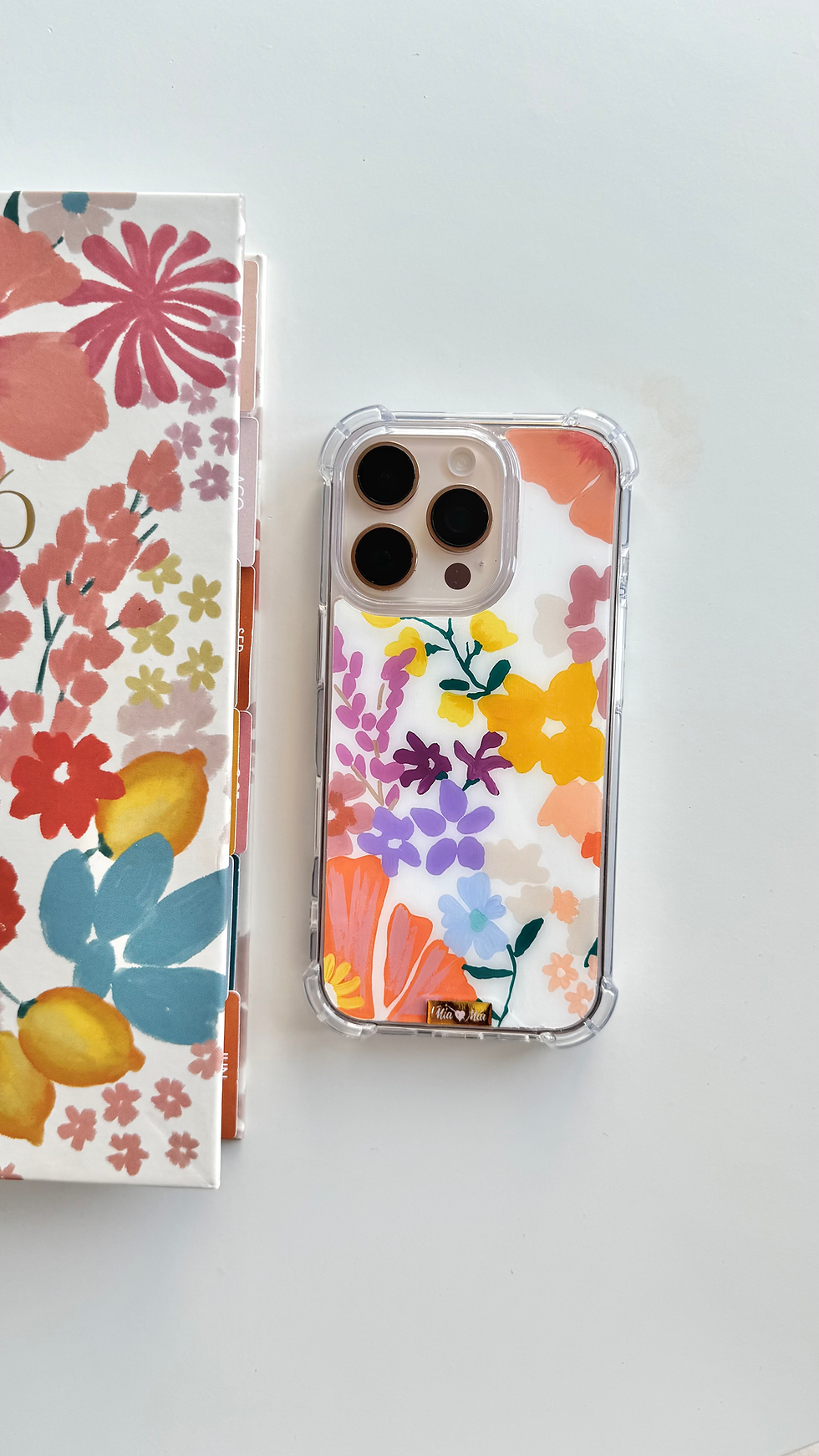 Miniatura: CASE AMALFI