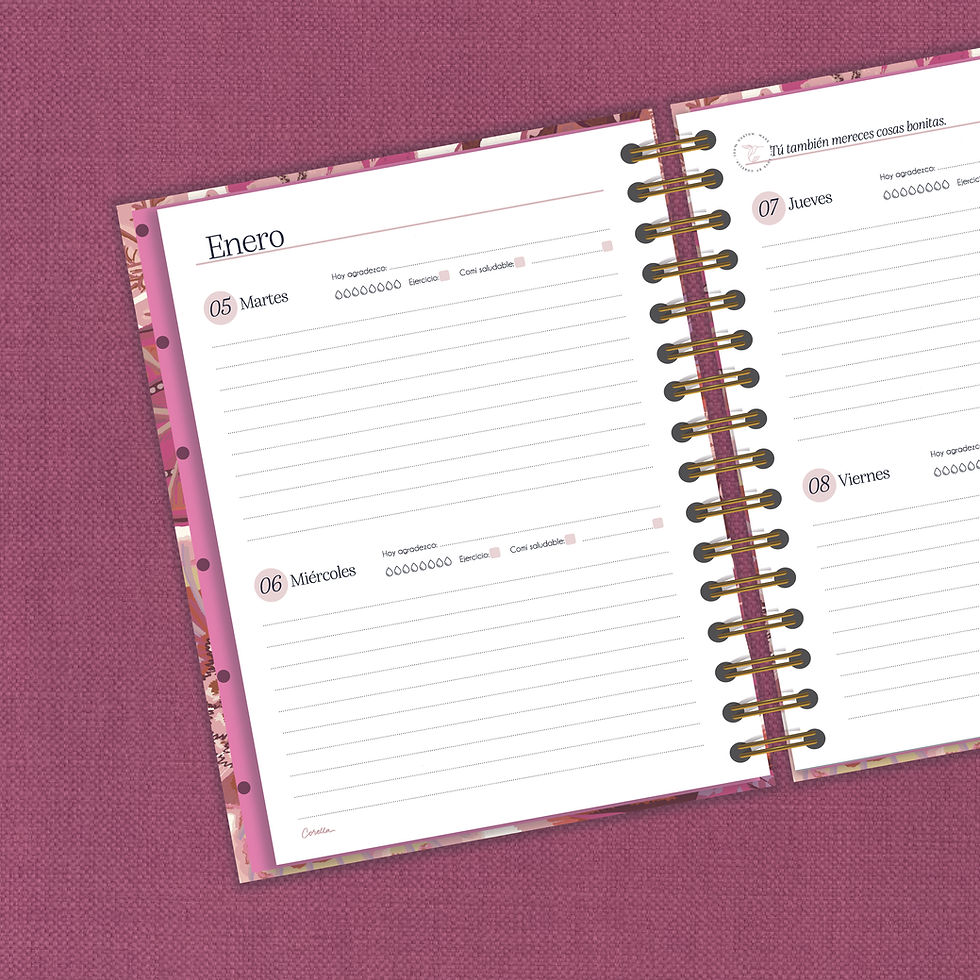 Miniatura: AGENDA BOLENA