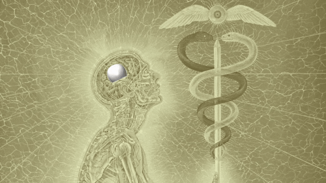 The Wounded Healer: An Analysis of Medical Care Market in present times