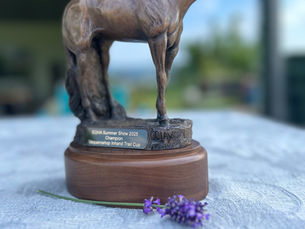 Trophys als Pferd
