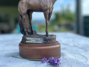 Trophys als Pferd
